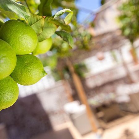 Apartament Lemon Paradise Alicante Eksteriør bilde