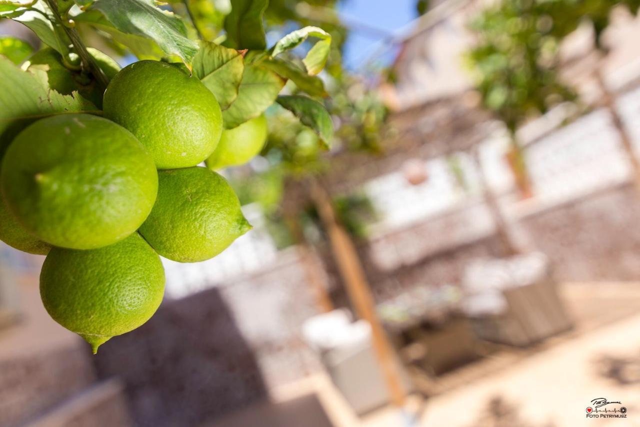 Apartament Lemon Paradise Alicante Eksteriør bilde